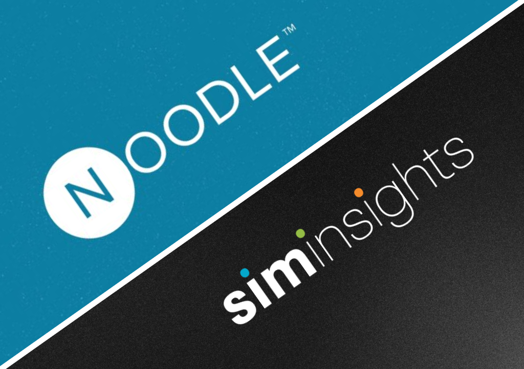 siminsights_noodle_2