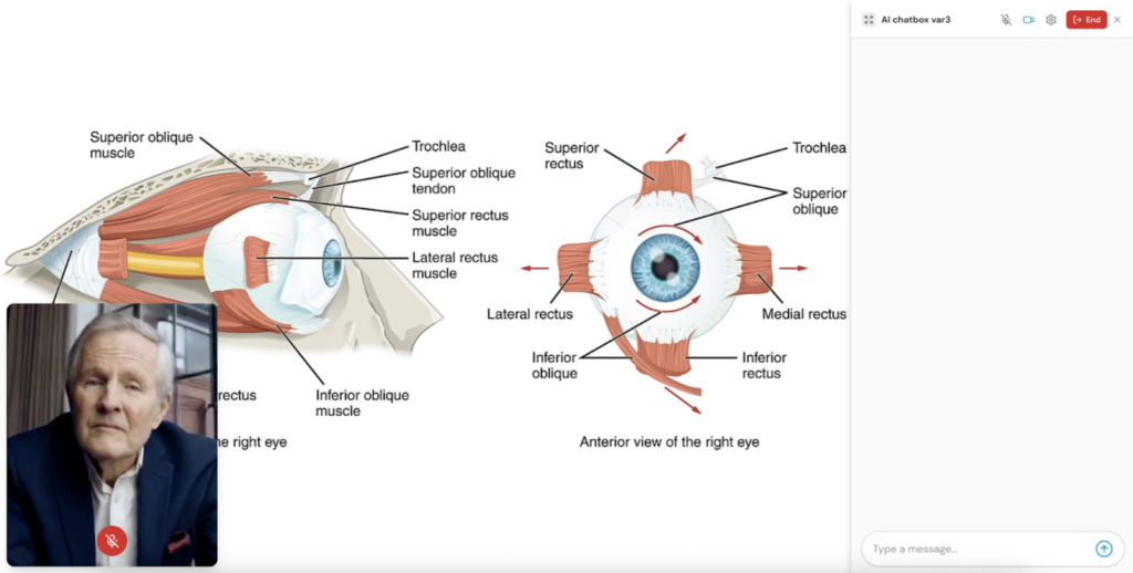 hyperskill chatbox light mode
